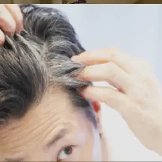 /img/25251-gentle-hair-products.webp