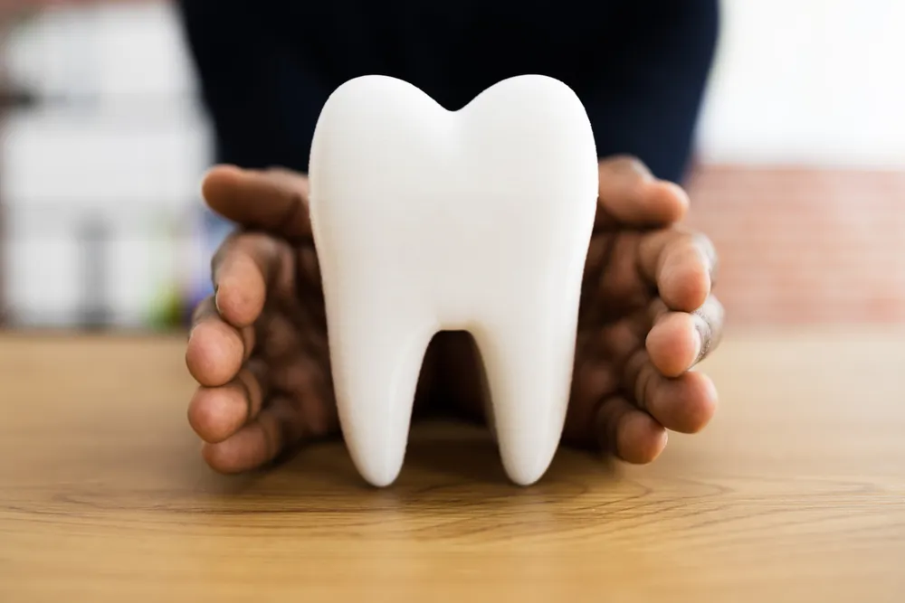 /img/25287-dental-checkups.webp